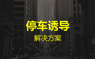 停车诱导解决方案